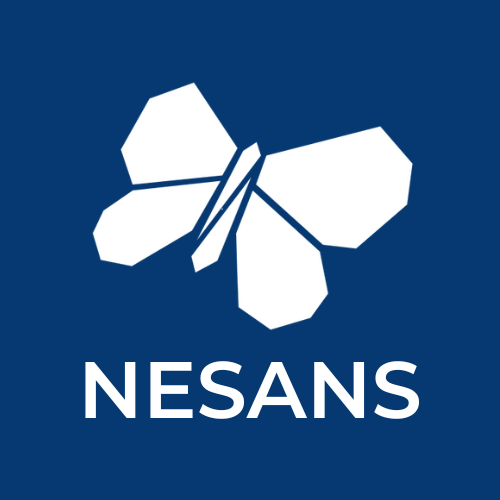 Nesans